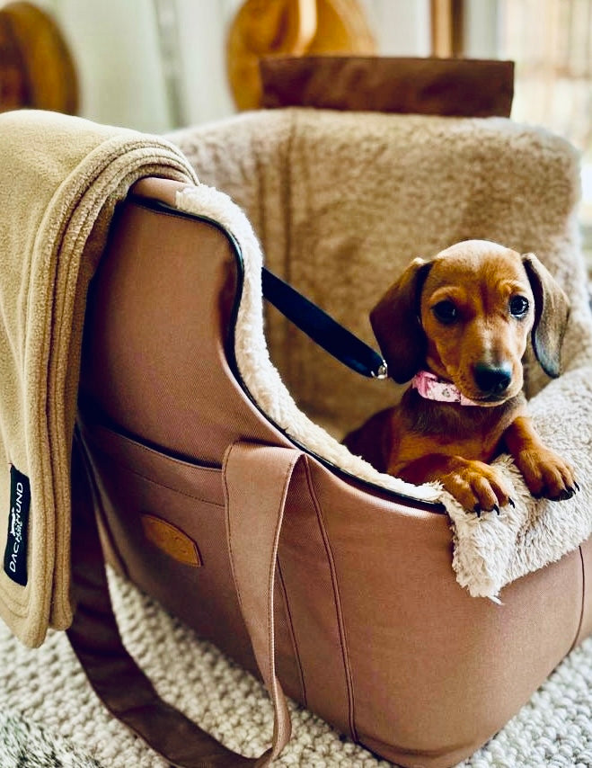 Best Luxury Pet Travel Bags